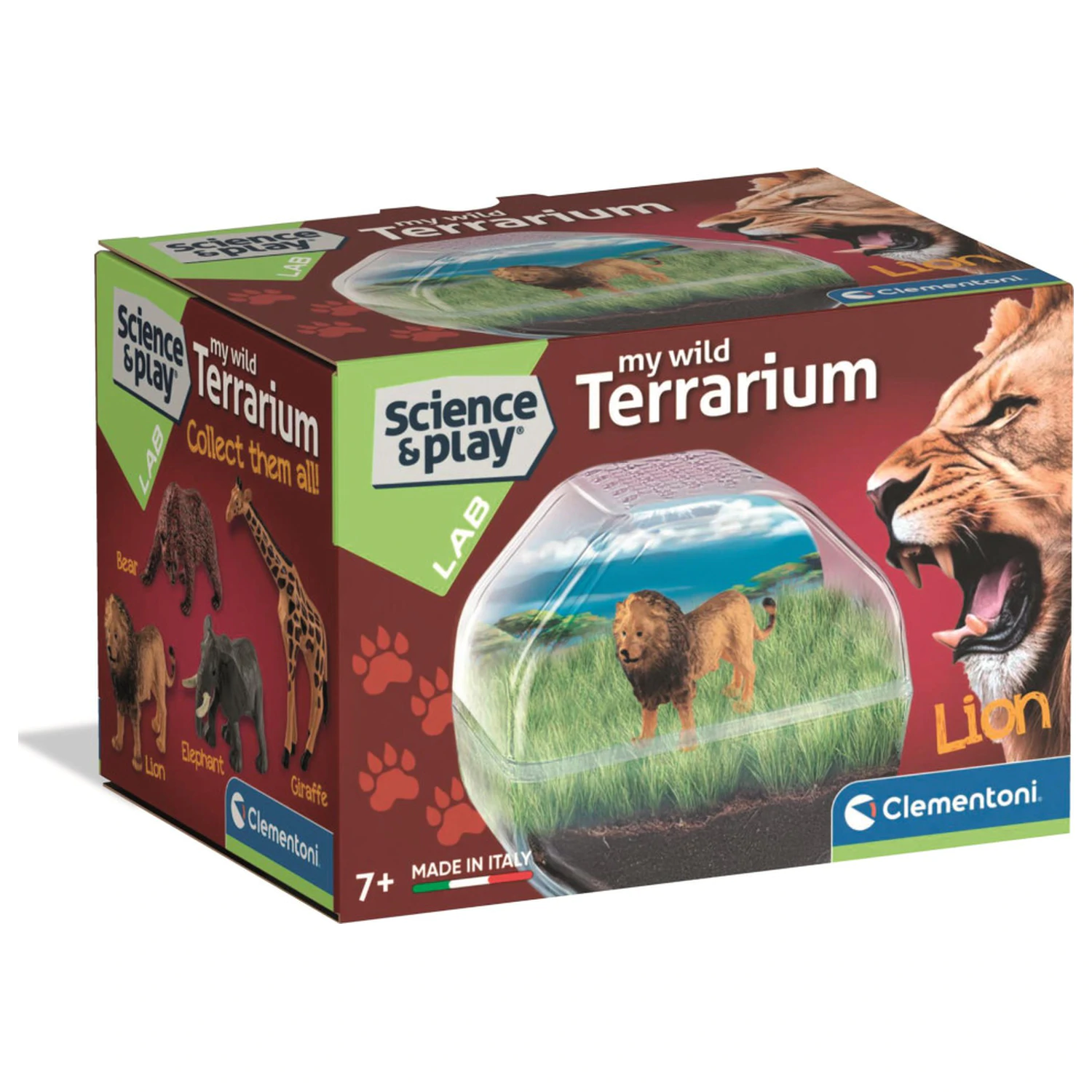 Mini Lion terariu poza produsului