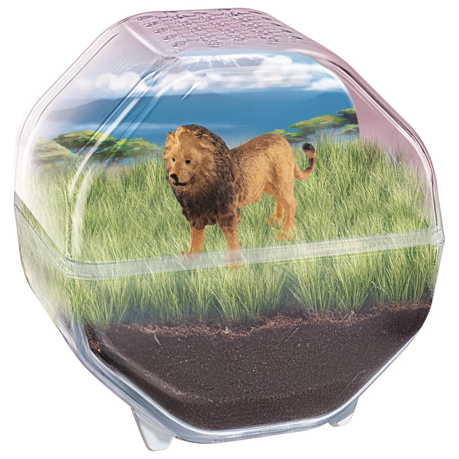 Mini Lion terariu poza produsului