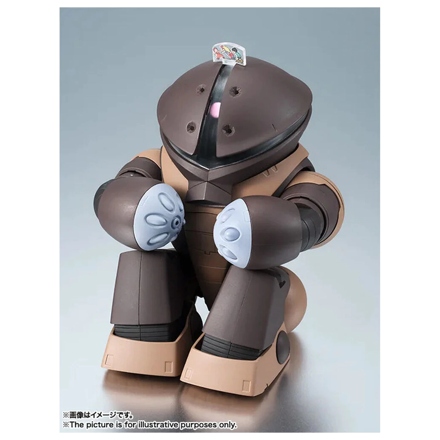 Mobile Suit Gundam The Robot Spirits Side MS MSM-04 Acguy ver. A.N.I.M.E. figurina 13cm poza produsului