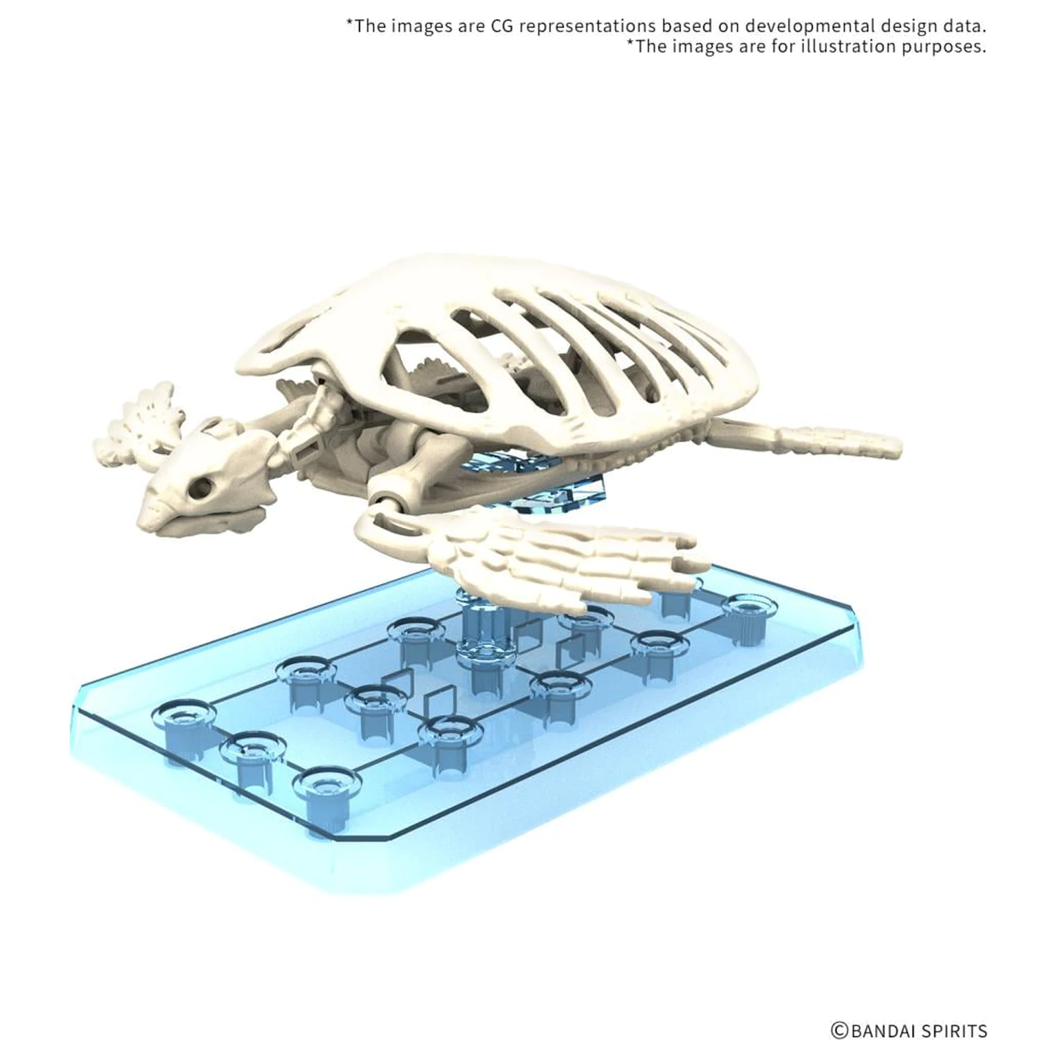 Plannosaurus Archelon Kit model poza produsului