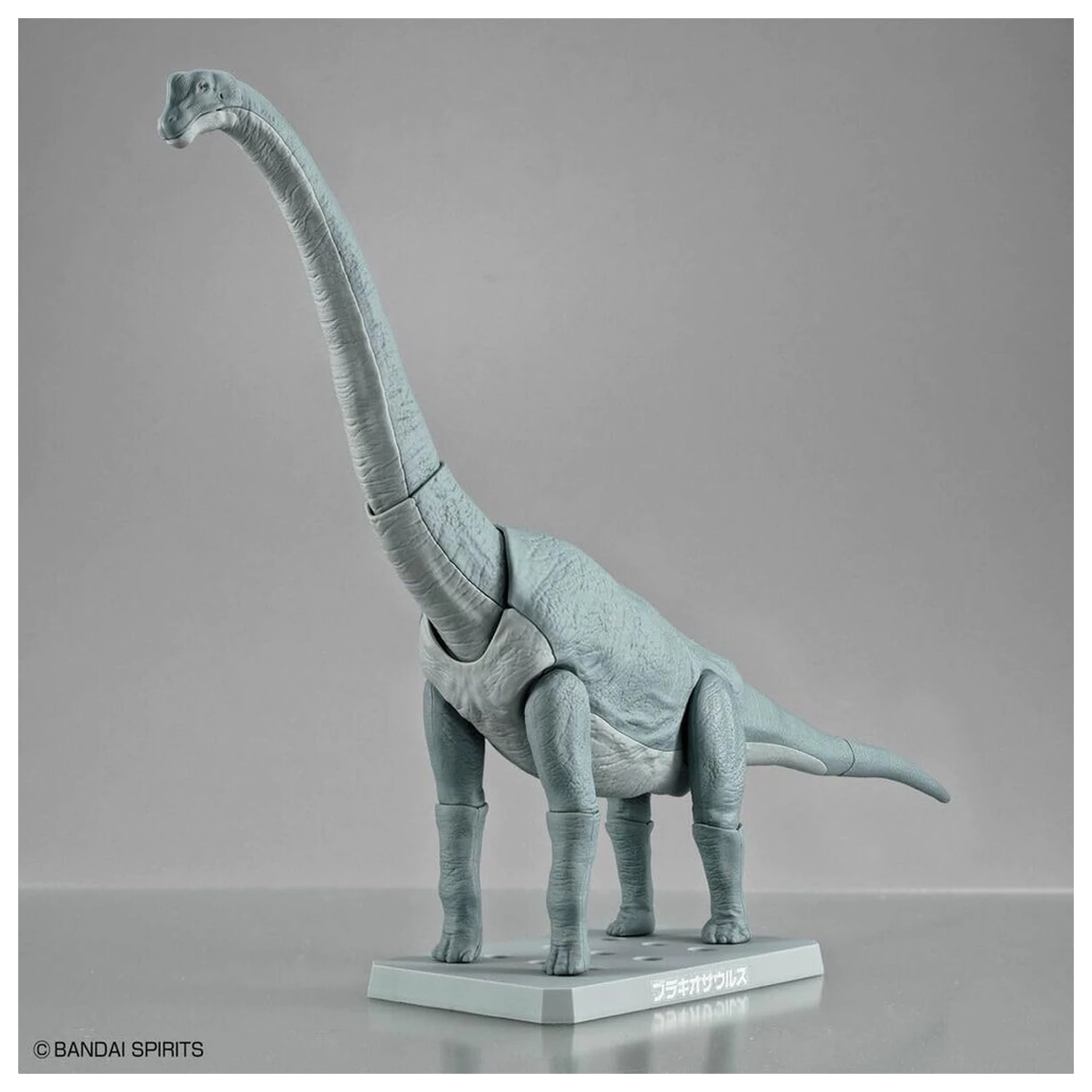 Kit de model Plannosaurus Brachiosaurus poza produsului