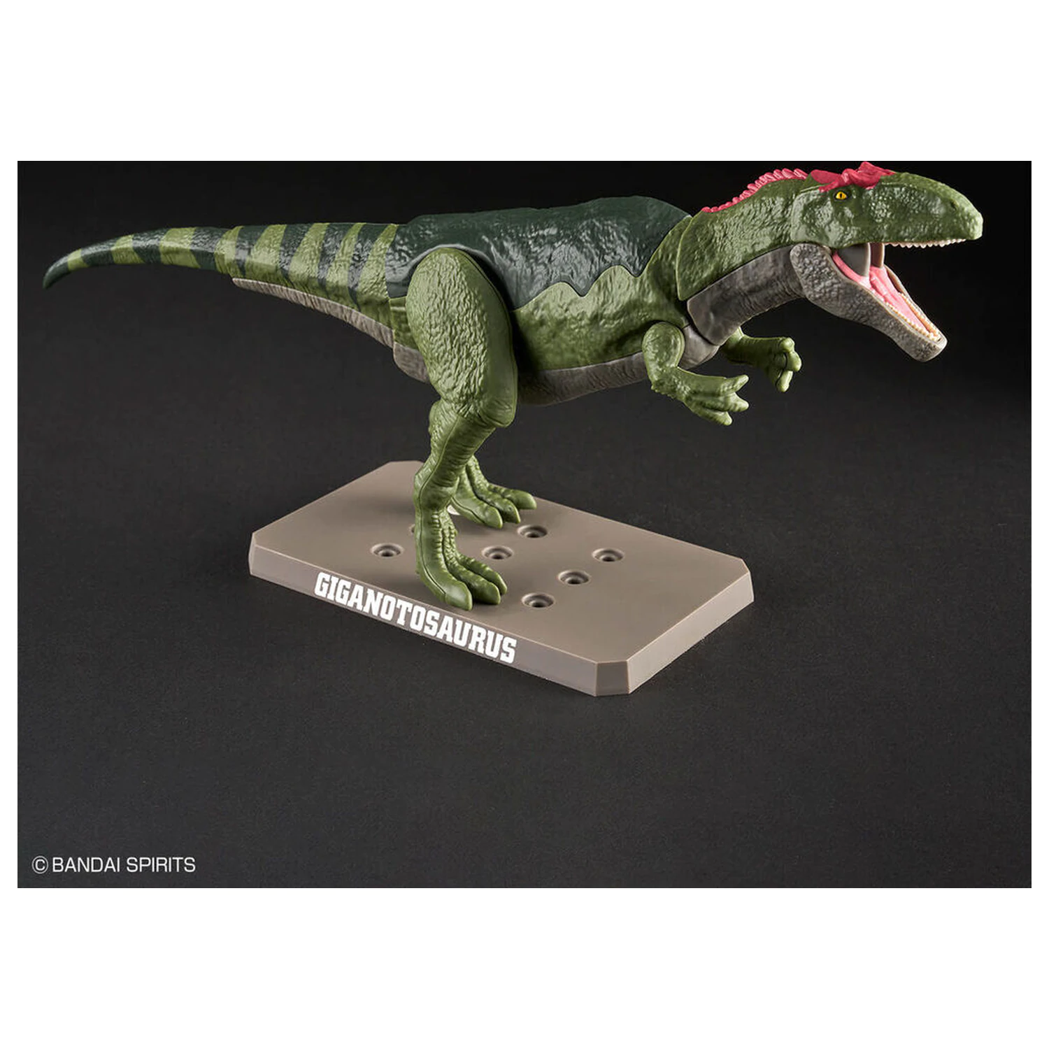 Model Kit Plannosaurus Giganotosaurus poza produsului
