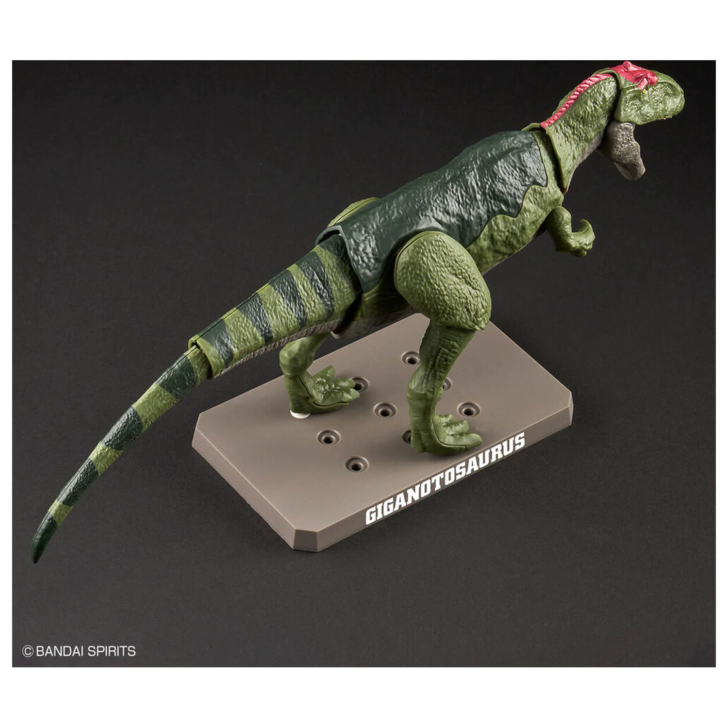 Model Kit Plannosaurus Giganotosaurus poza produsului