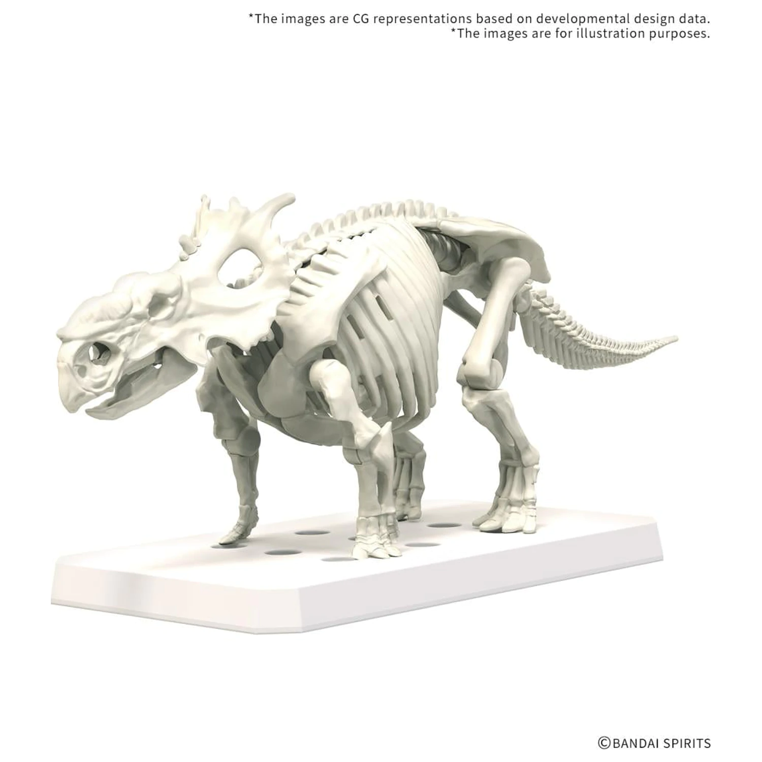 Kit model Plannosaurus Pachyrhinosaurus poza produsului