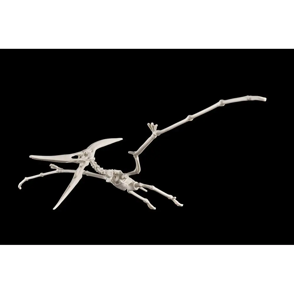 Plannosaurus Pteranodon Model Kit figurina poza produsului