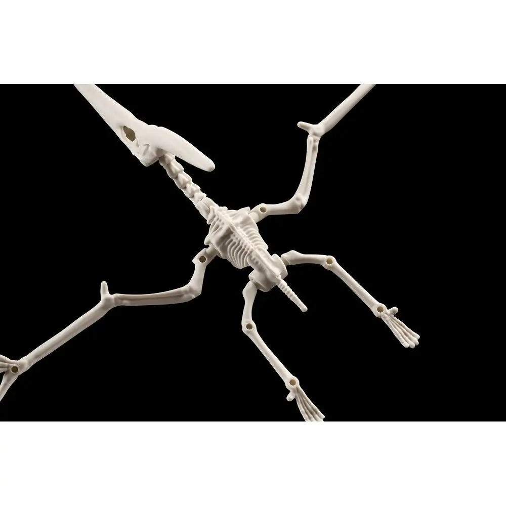 Plannosaurus Pteranodon Model Kit figurina poza produsului