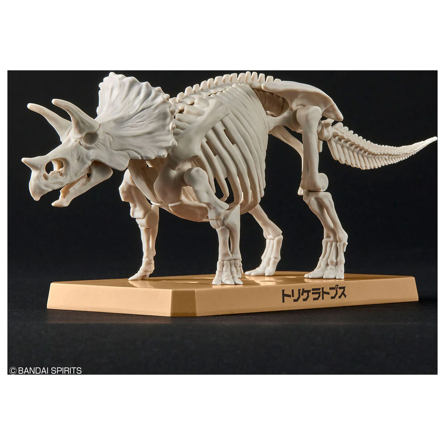 Model Kit Plannosaurus Triceratops poza produsului