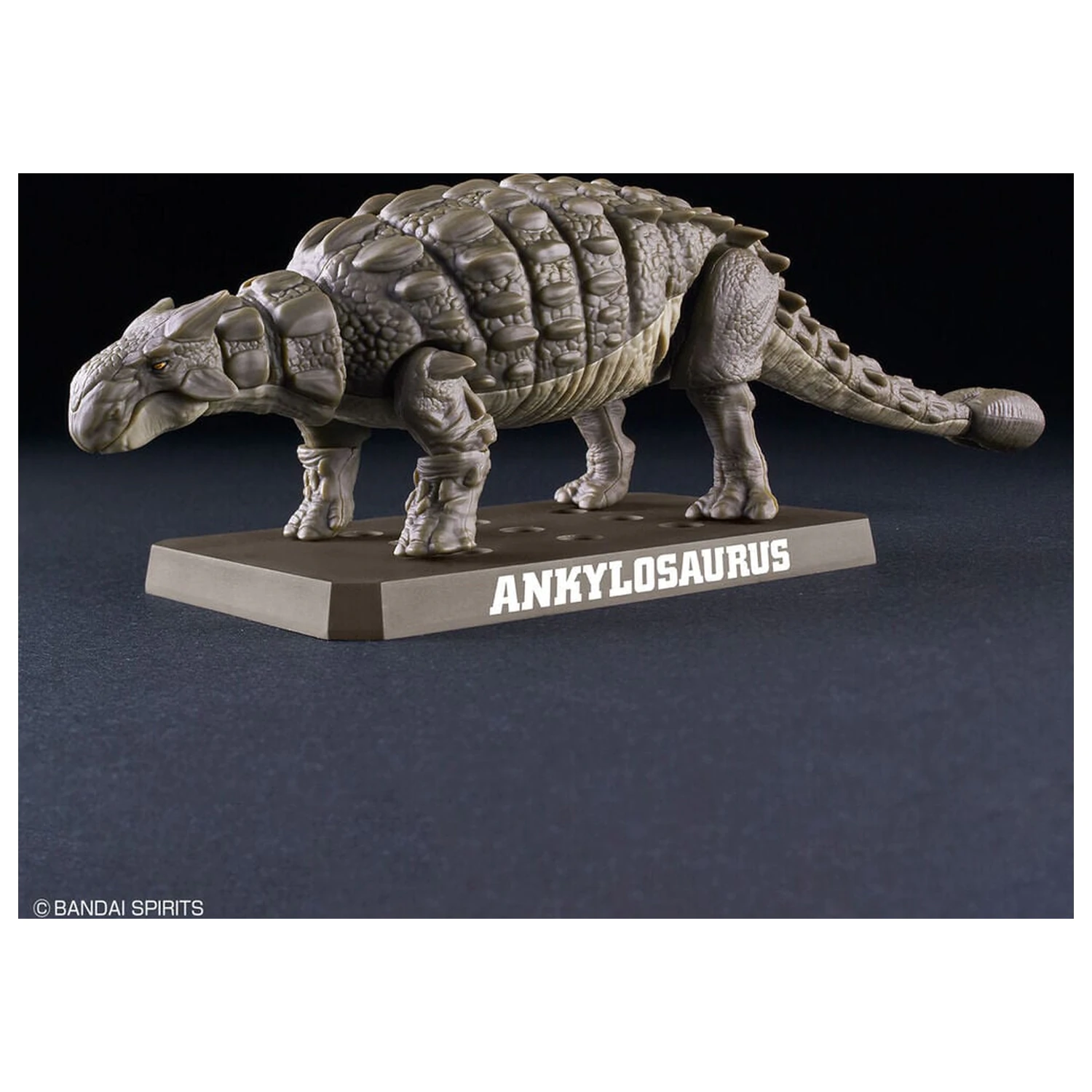 Planosaurus Ankylosaurus Kit model poza produsului