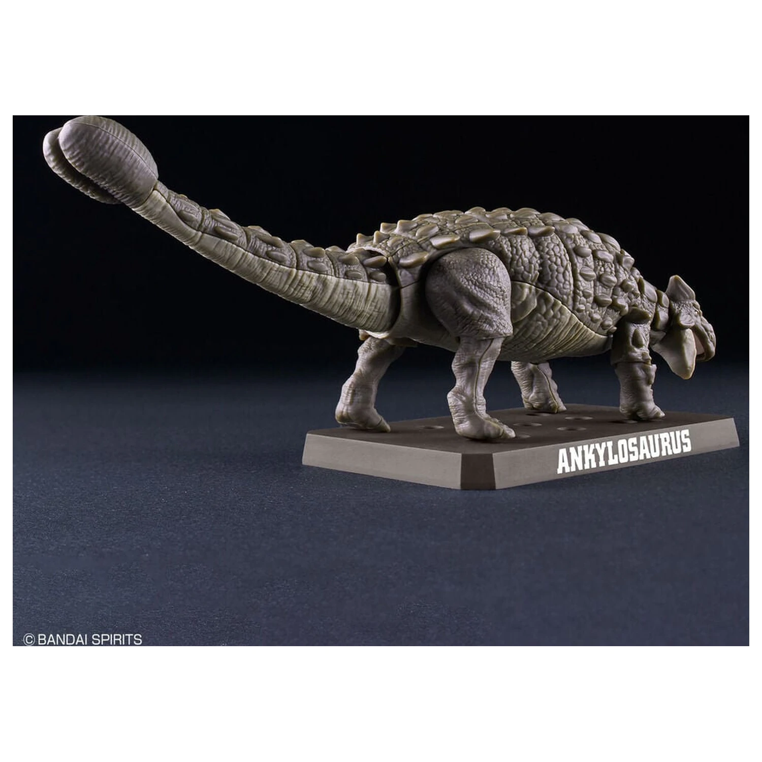 Planosaurus Ankylosaurus Kit model poza produsului