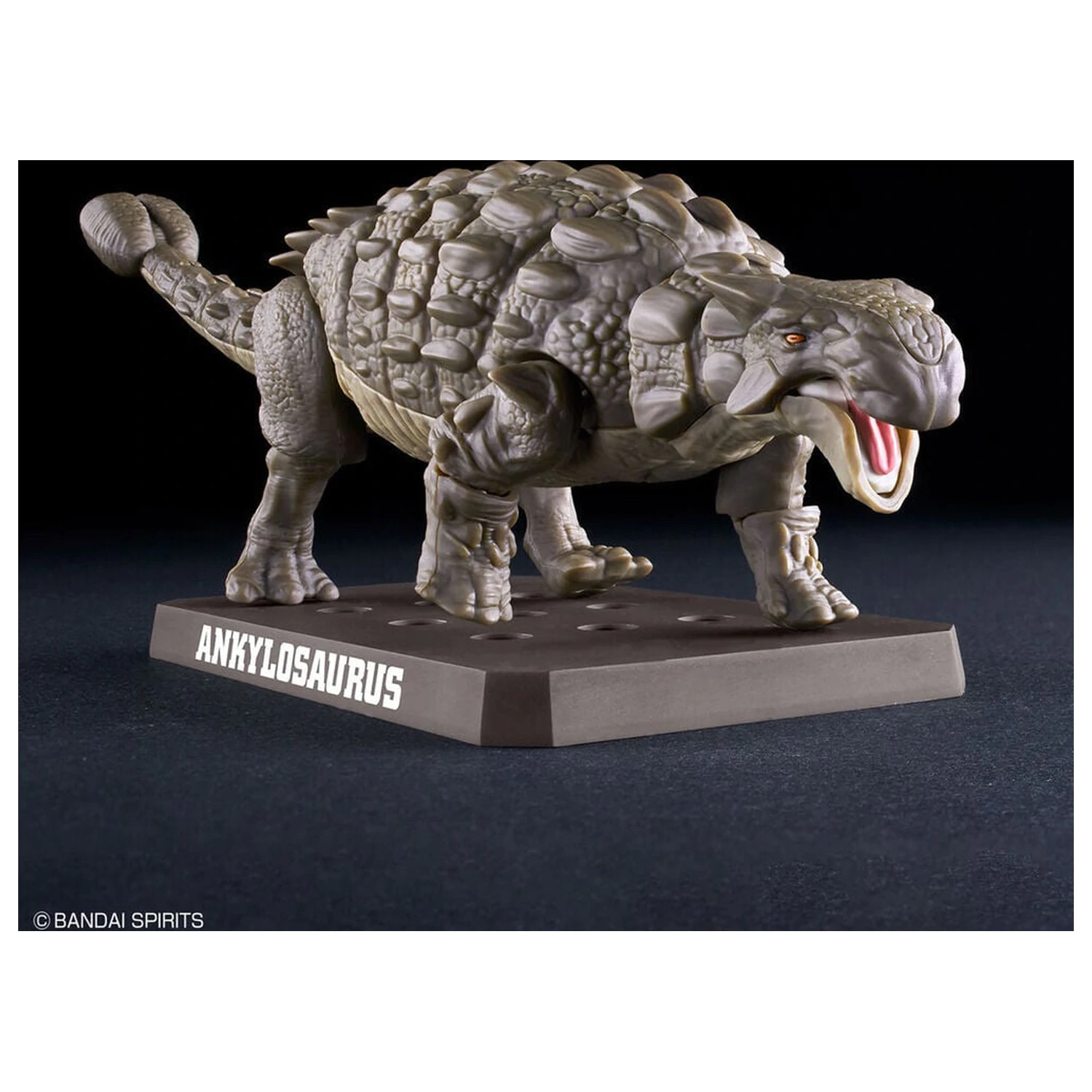 Planosaurus Ankylosaurus Kit model poza produsului