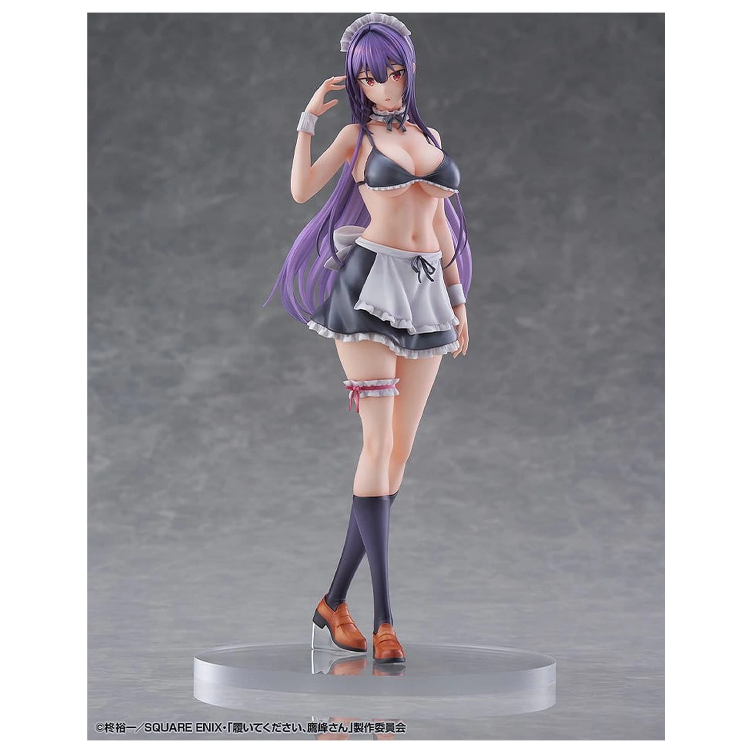 "Please Put Them On, Takamine-san" Figurina PVC 1/6 Takane Takamine 25 cm poza produsului