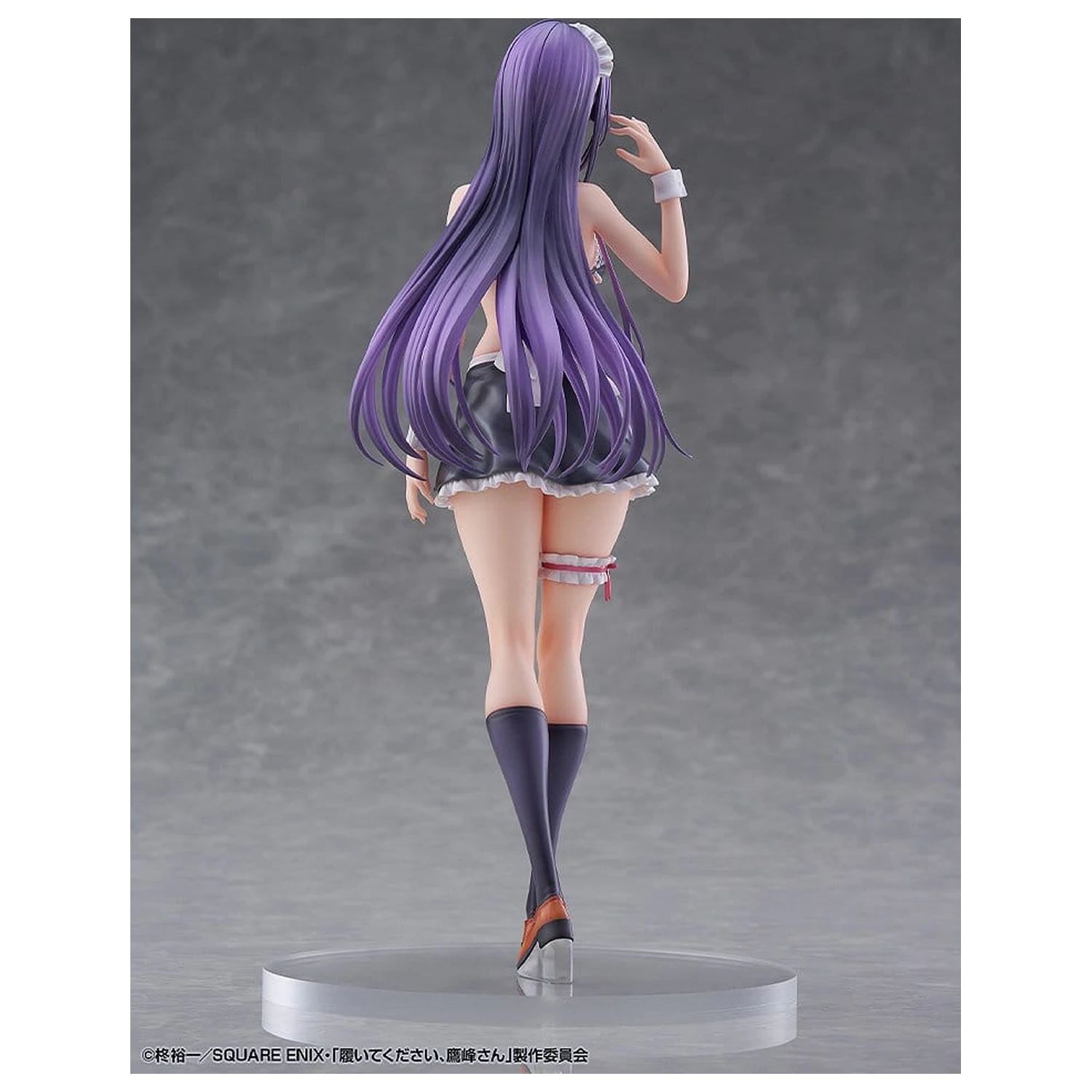 "Please Put Them On, Takamine-san" Figurina PVC 1/6 Takane Takamine 25 cm poza produsului
