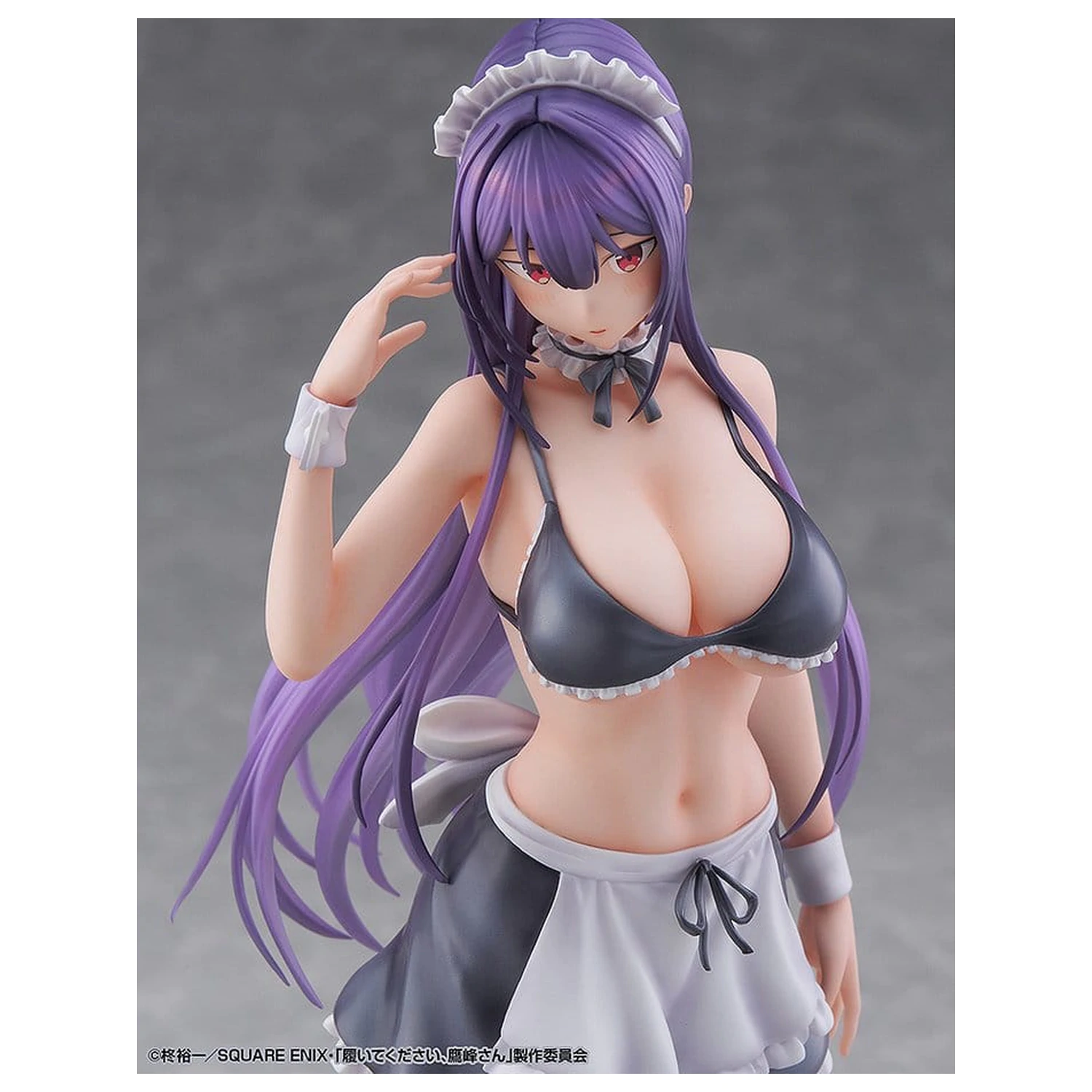 "Please Put Them On, Takamine-san" Figurina PVC 1/6 Takane Takamine 25 cm poza produsului