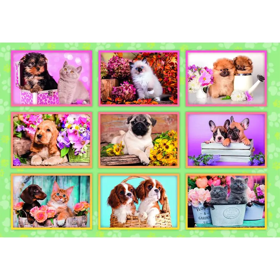 Puppies Collage super puzzle 180 piese poza produsului