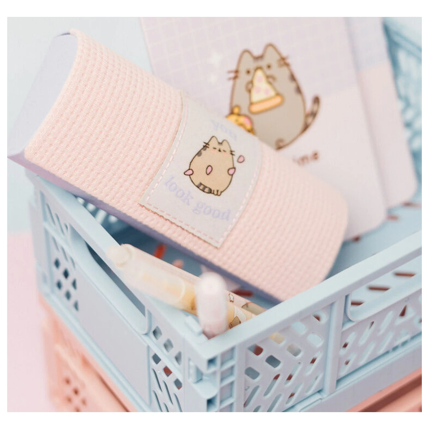 Pusheen toc ochelari poza produsului
