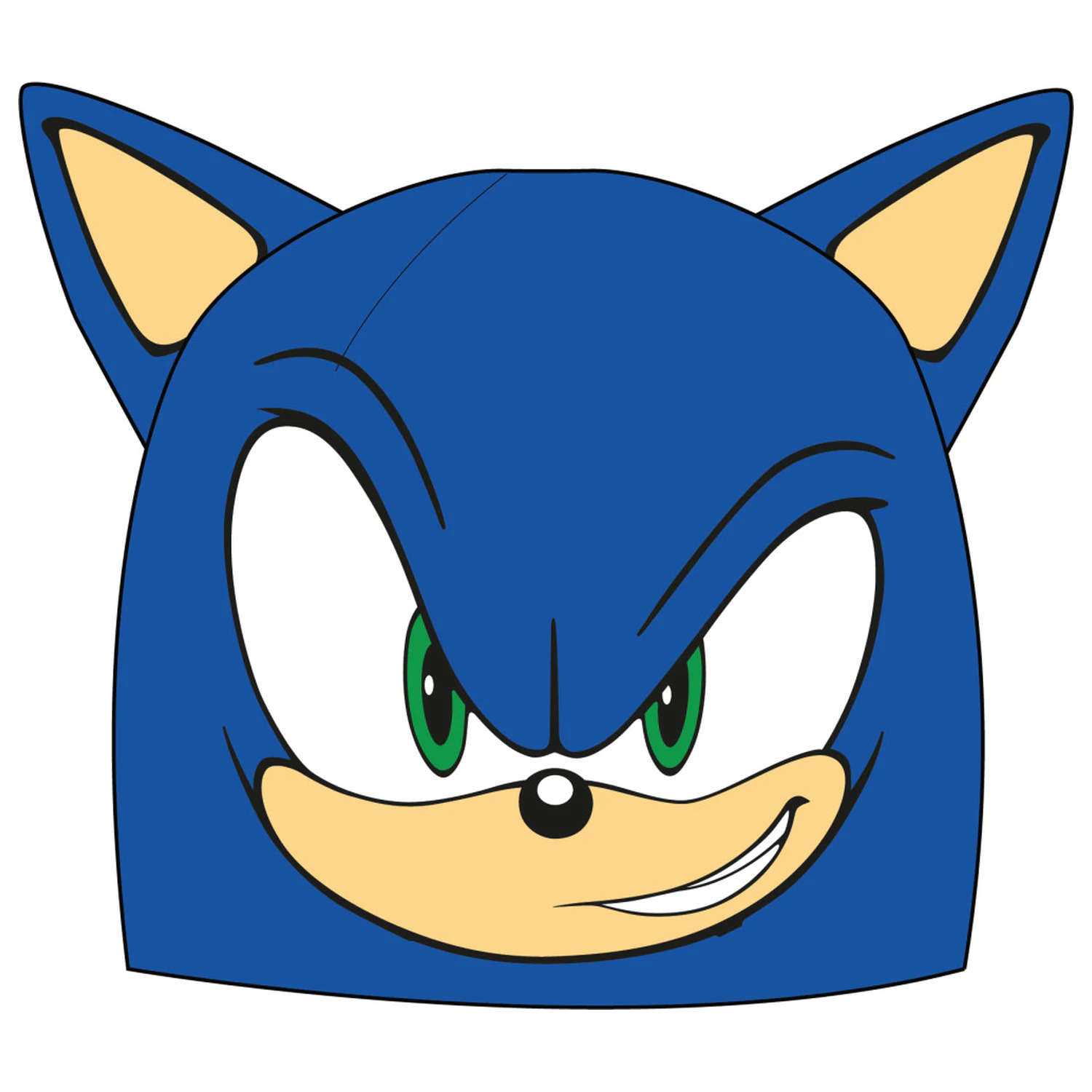 Sonic Blue Blur șapcă copii 54 cm poza produsului