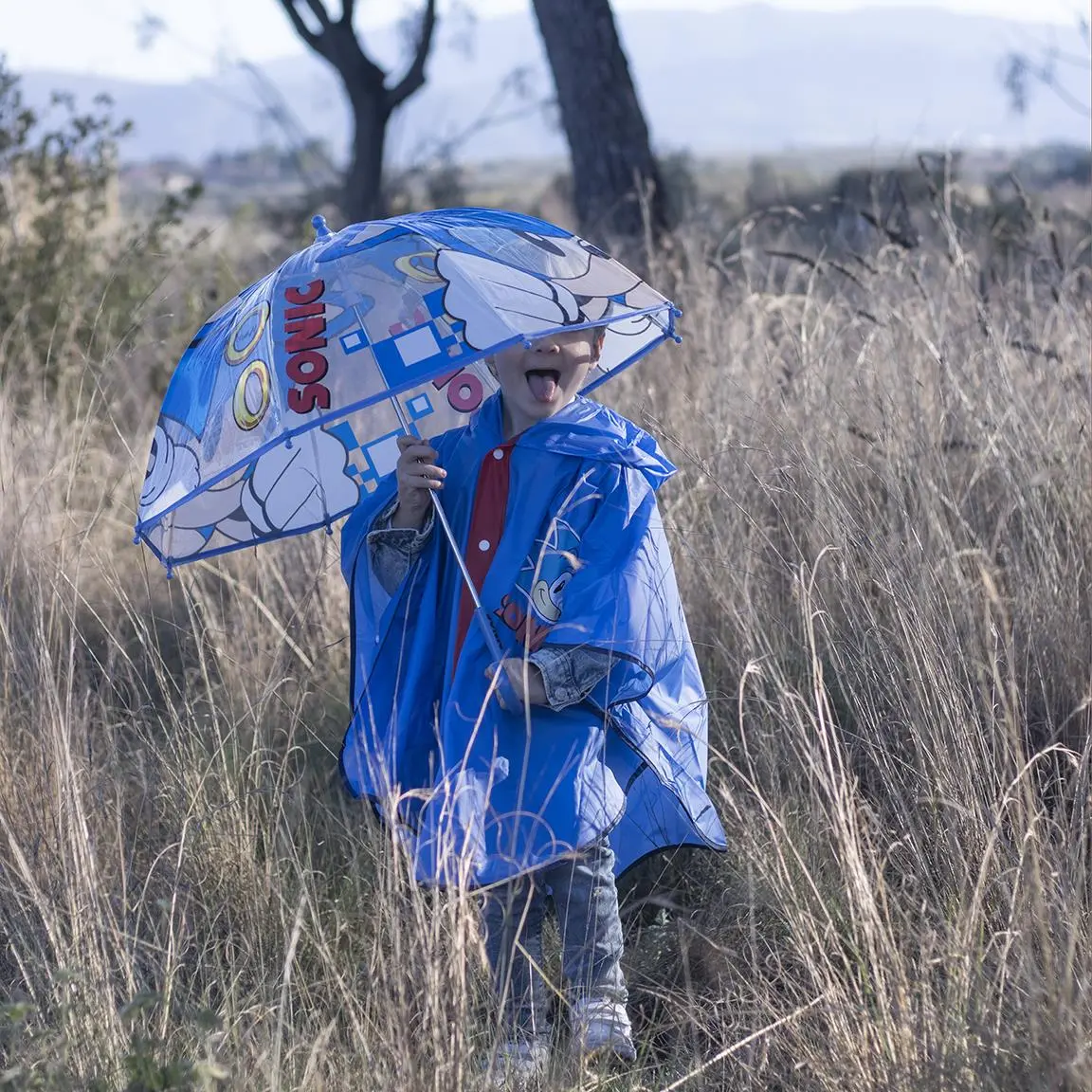 Umbrelă sonic poza produsului