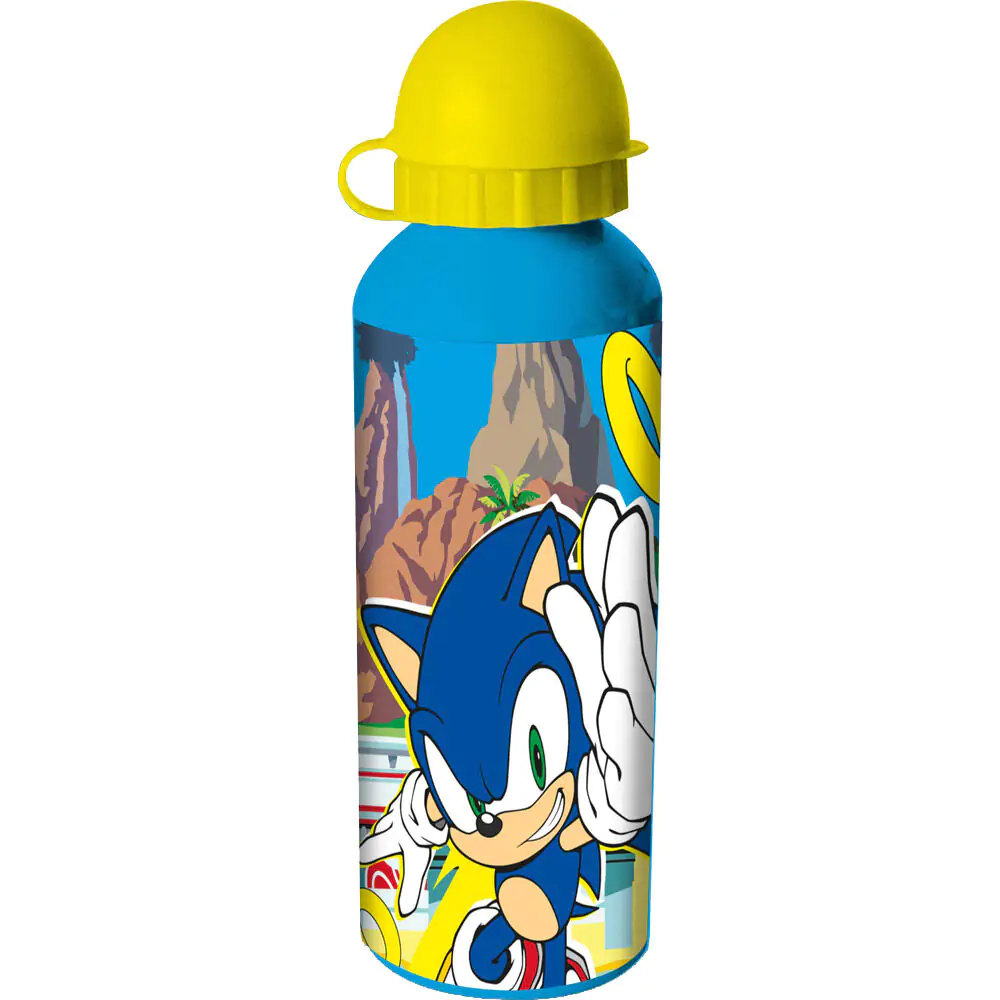Sticlă de aluminiu Sonic The Hedgehog 500ml poza produsului