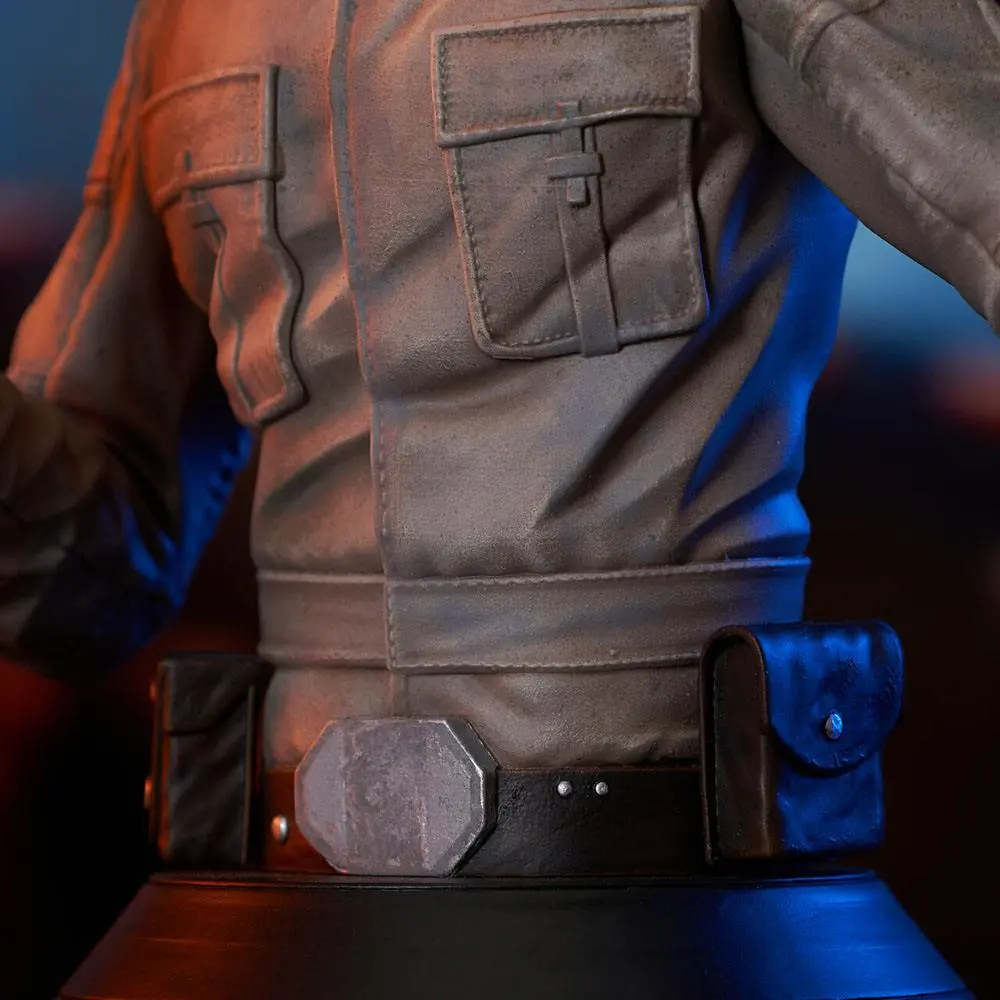 Star Wars Episode V Bust 1/6 Luke Skywalker 15 cmBust Statuetă 1/6 Luke Skywalker 15 cm poza produsului