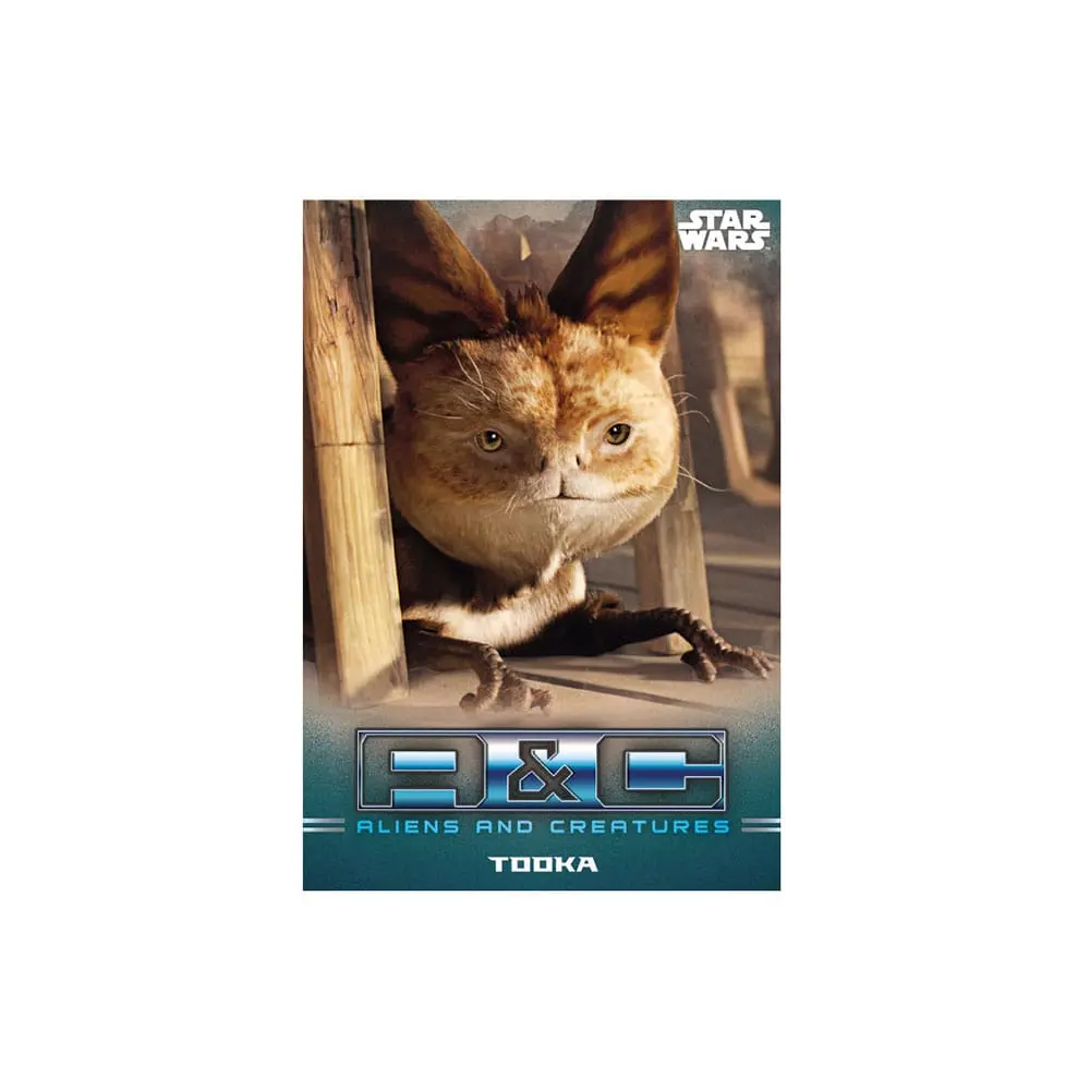 Star Wars: The Mandalorian Trading Cards Pachet Starter *English Version* poza produsului