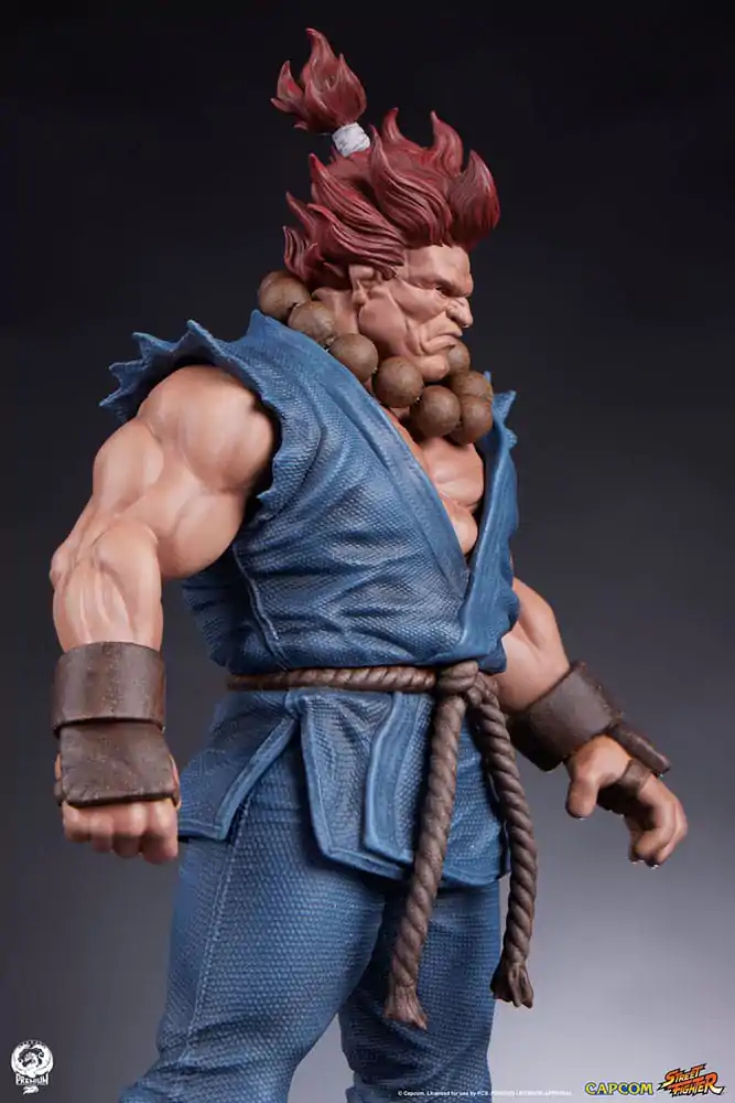 Statuete PVC Street Fighter 1/10 Akuma & Dhalsim 21 cm poza produsului