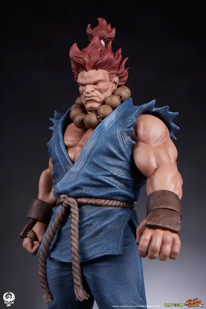 Statuete PVC Street Fighter 1/10 Akuma & Dhalsim 21 cm poza produsului