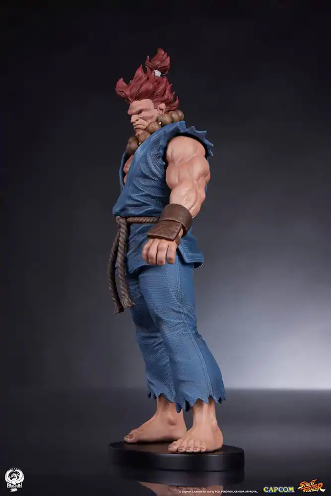 Statuete PVC Street Fighter 1/10 Akuma & Dhalsim 21 cm poza produsului