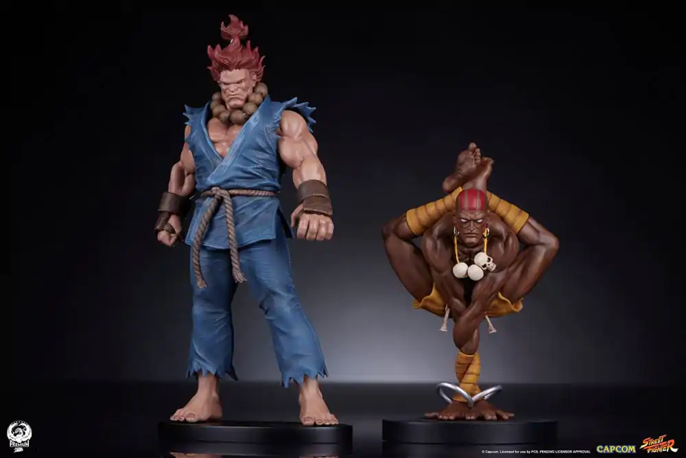 Statuete PVC Street Fighter 1/10 Akuma & Dhalsim 21 cm poza produsului
