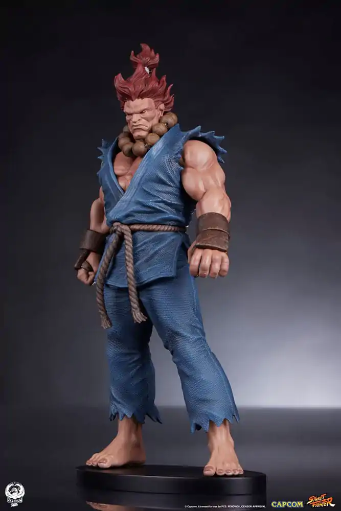 Statuete PVC Street Fighter 1/10 Akuma & Dhalsim 21 cm poza produsului