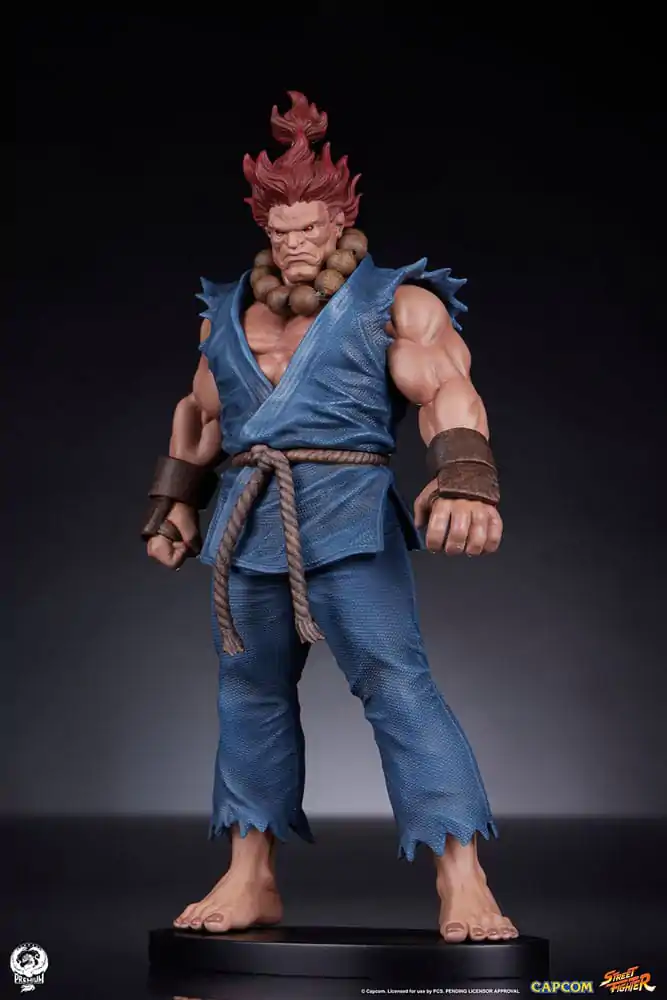 Statuete PVC Street Fighter 1/10 Akuma & Dhalsim 21 cm poza produsului