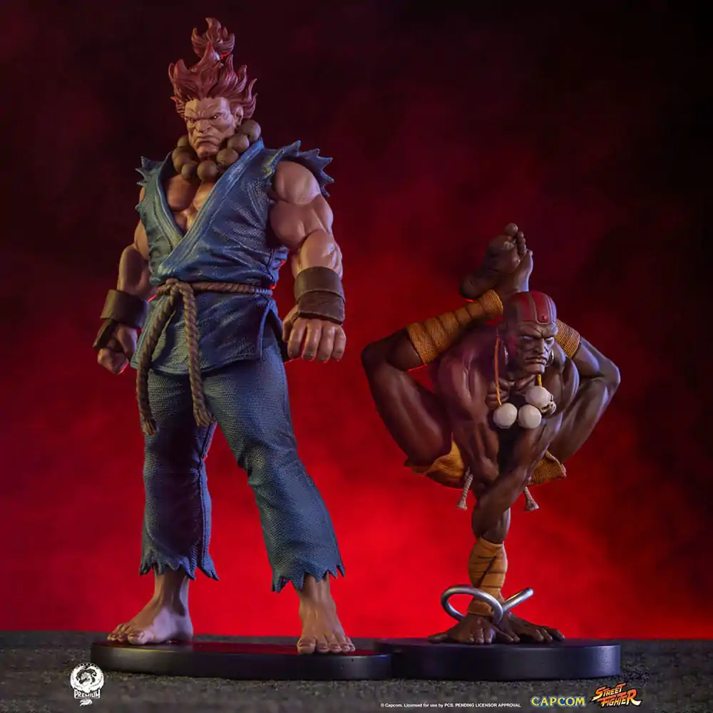 Statuete PVC Street Fighter 1/10 Akuma & Dhalsim 21 cm poza produsului