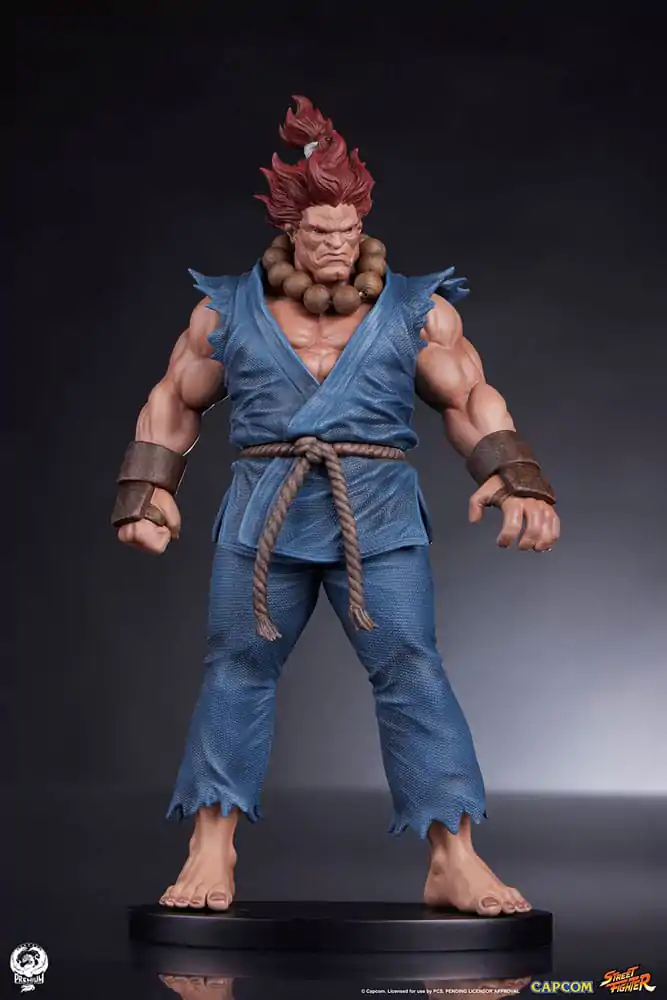 Statuete PVC Street Fighter 1/10 Akuma & Dhalsim 21 cm poza produsului