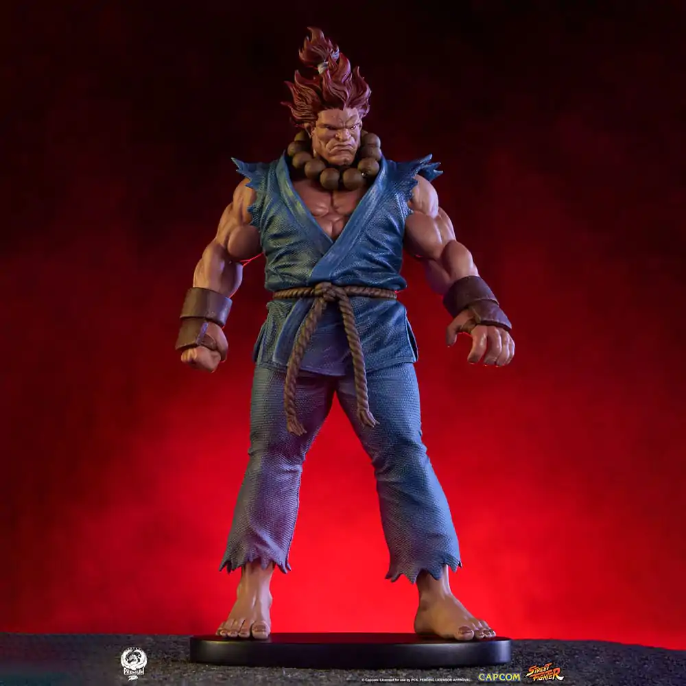 Statuete PVC Street Fighter 1/10 Akuma & Dhalsim 21 cm poza produsului