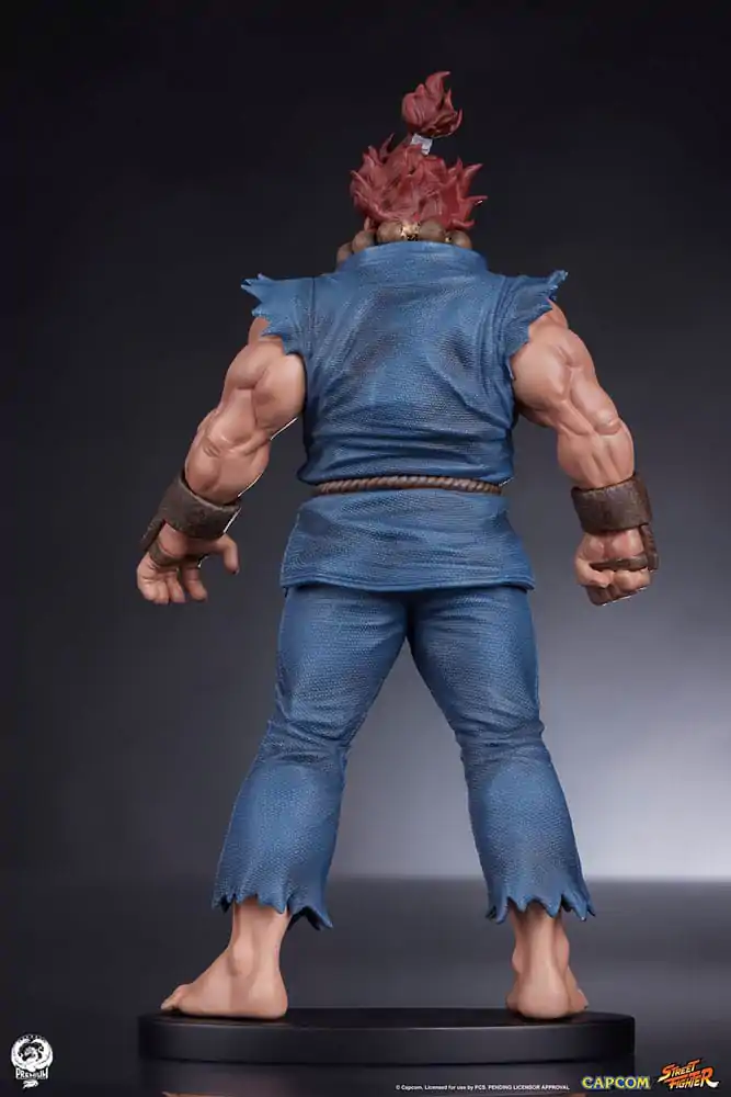 Statuete PVC Street Fighter 1/10 Akuma & Dhalsim 21 cm poza produsului