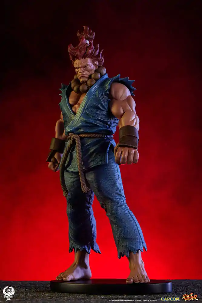 Statuete PVC Street Fighter 1/10 Akuma & Dhalsim 21 cm poza produsului