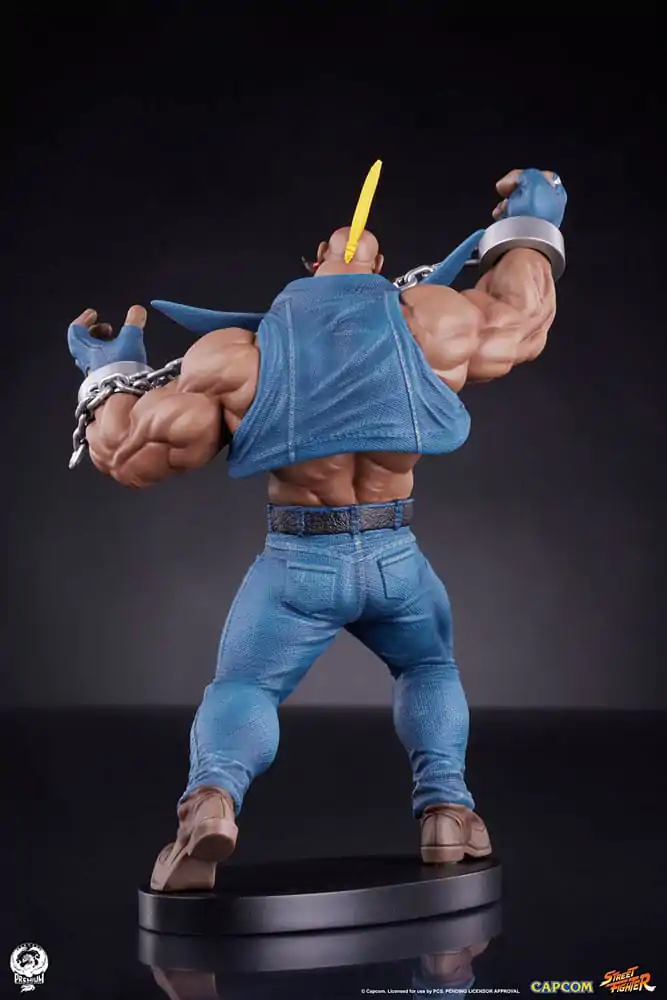 Street Fighter Statui PVC 1/10 Cammy & Birdie 24 cm poza produsului