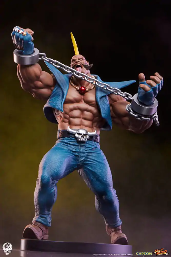 Street Fighter Statui PVC 1/10 Cammy & Birdie 24 cm poza produsului