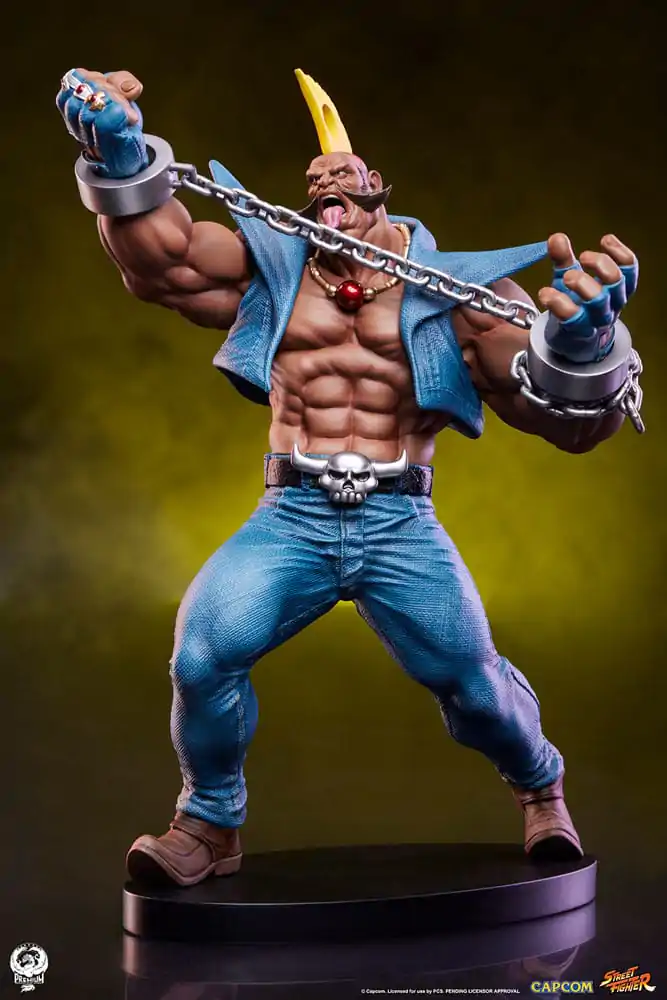 Street Fighter Statui PVC 1/10 Cammy & Birdie 24 cm poza produsului