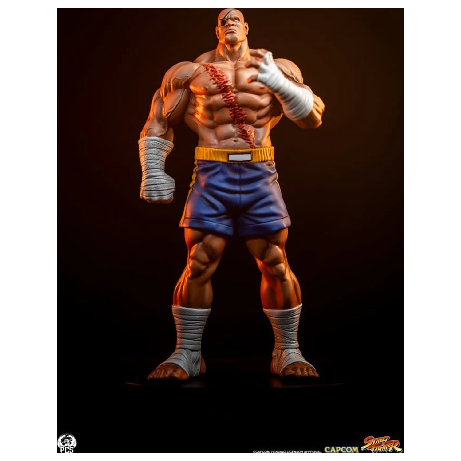 Street Fighter Street Jam Statui 1/10 Sagat & Juli 24 cm poza produsului