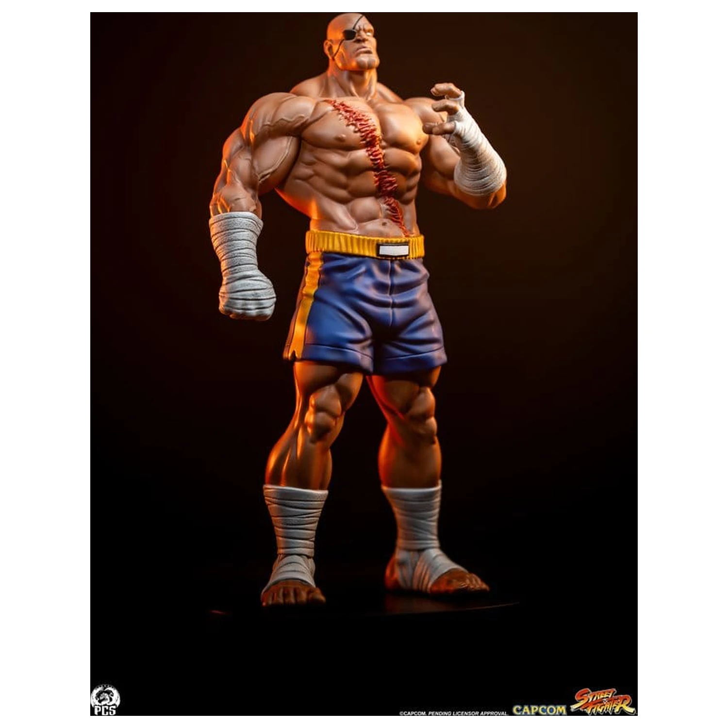 Street Fighter Street Jam Statui 1/10 Sagat & Juli 24 cm poza produsului