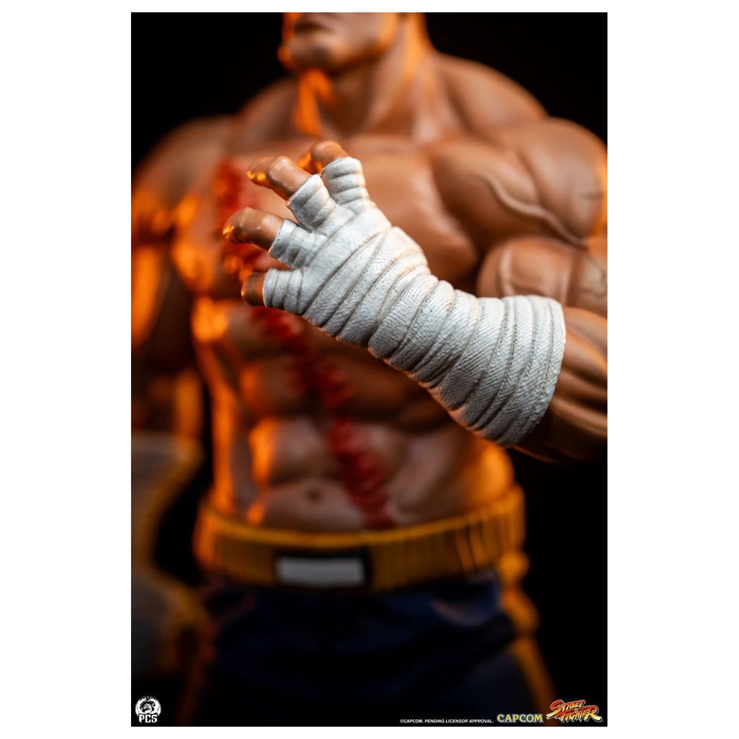 Street Fighter Street Jam Statui 1/10 Sagat & Juli 24 cm poza produsului