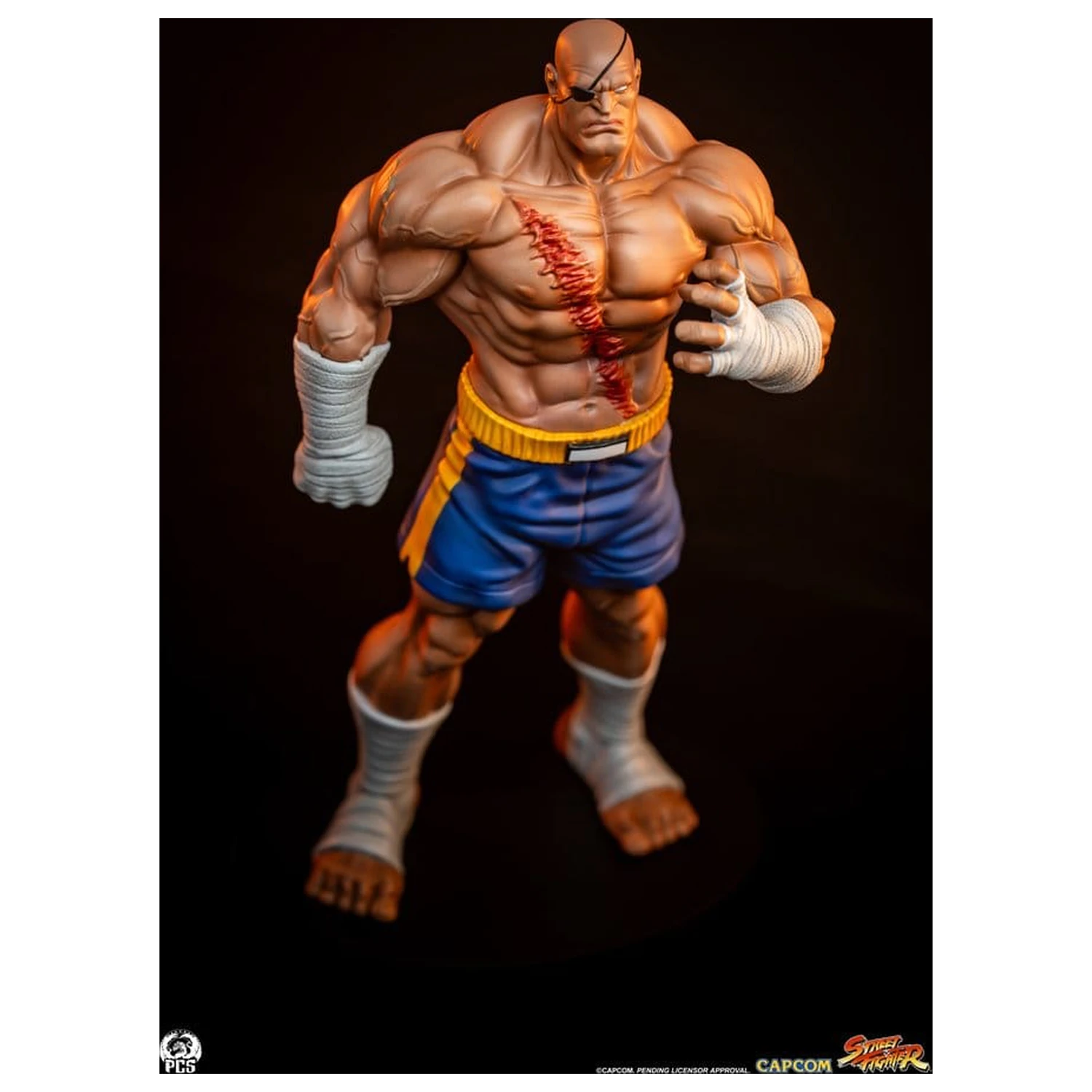 Street Fighter Street Jam Statui 1/10 Sagat & Juli 24 cm poza produsului