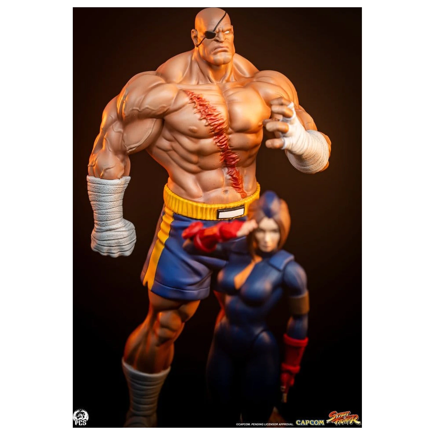 Street Fighter Street Jam Statui 1/10 Sagat & Juli 24 cm poza produsului