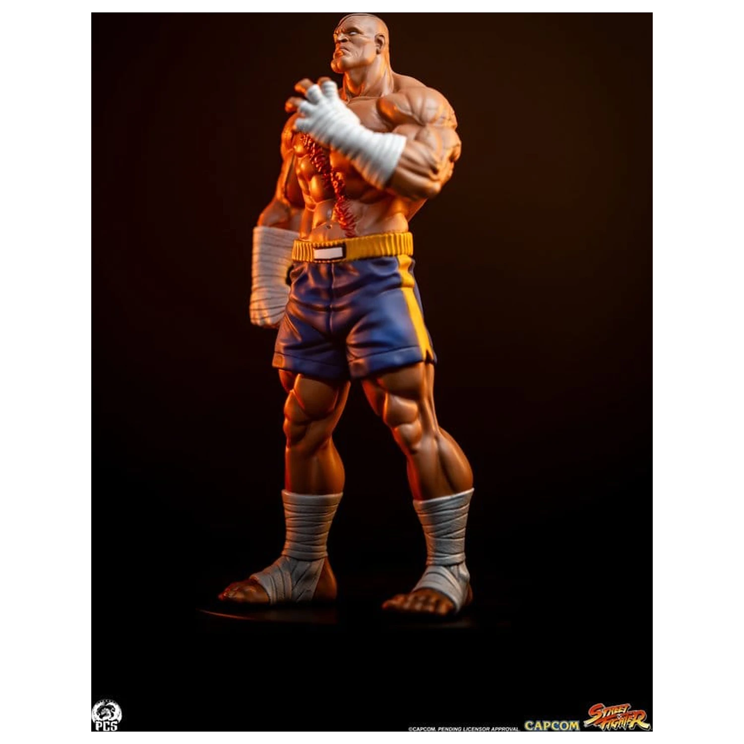 Street Fighter Street Jam Statui 1/10 Sagat & Juli 24 cm poza produsului
