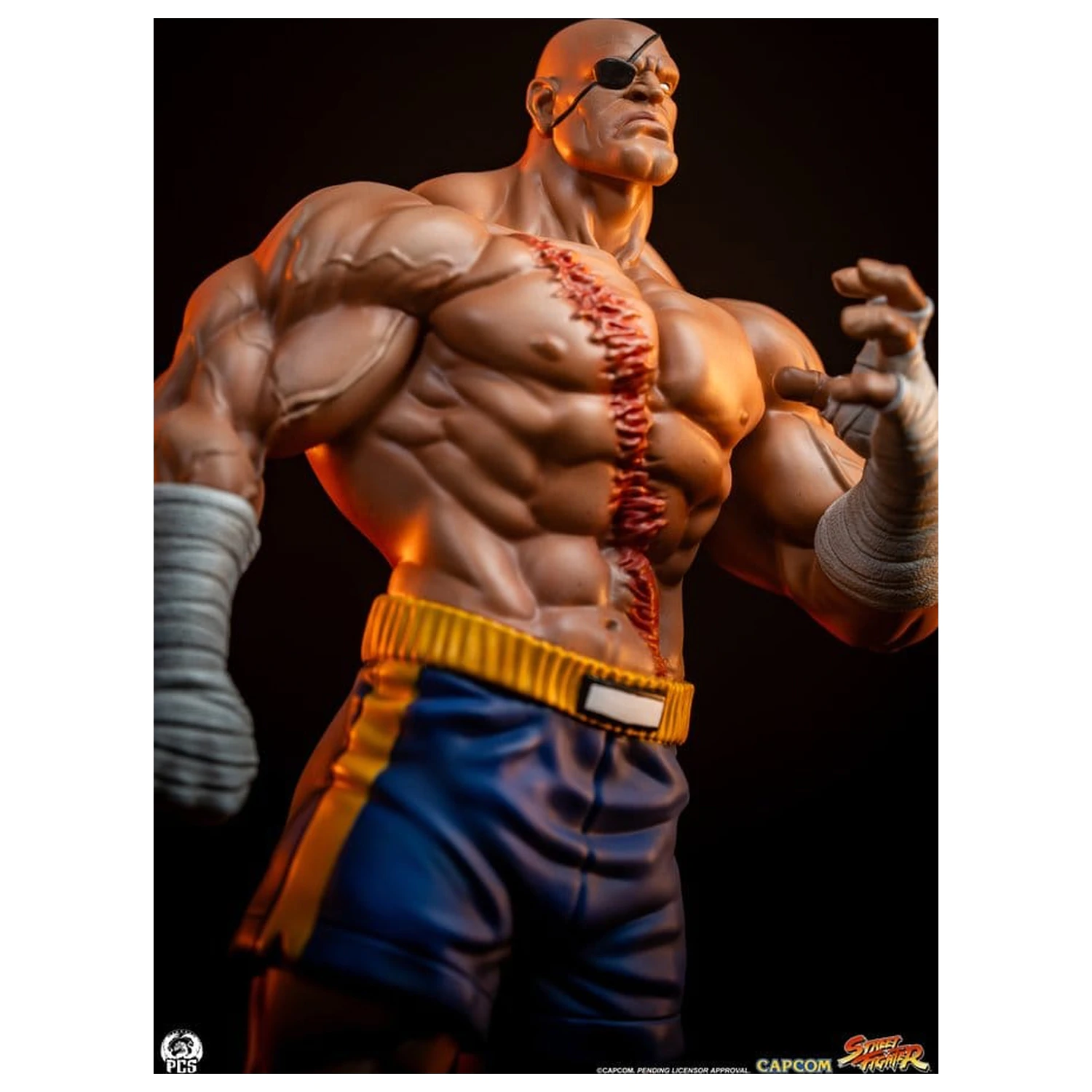 Street Fighter Street Jam Statui 1/10 Sagat & Juli 24 cm poza produsului
