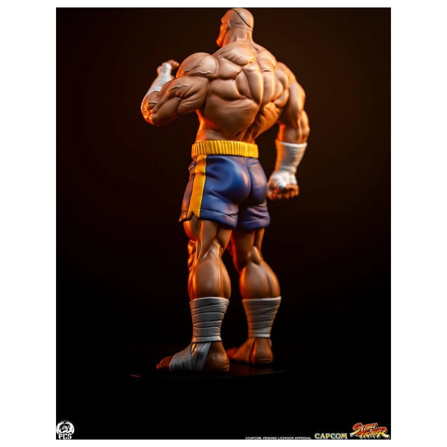 Street Fighter Street Jam Statui 1/10 Sagat & Juli 24 cm poza produsului