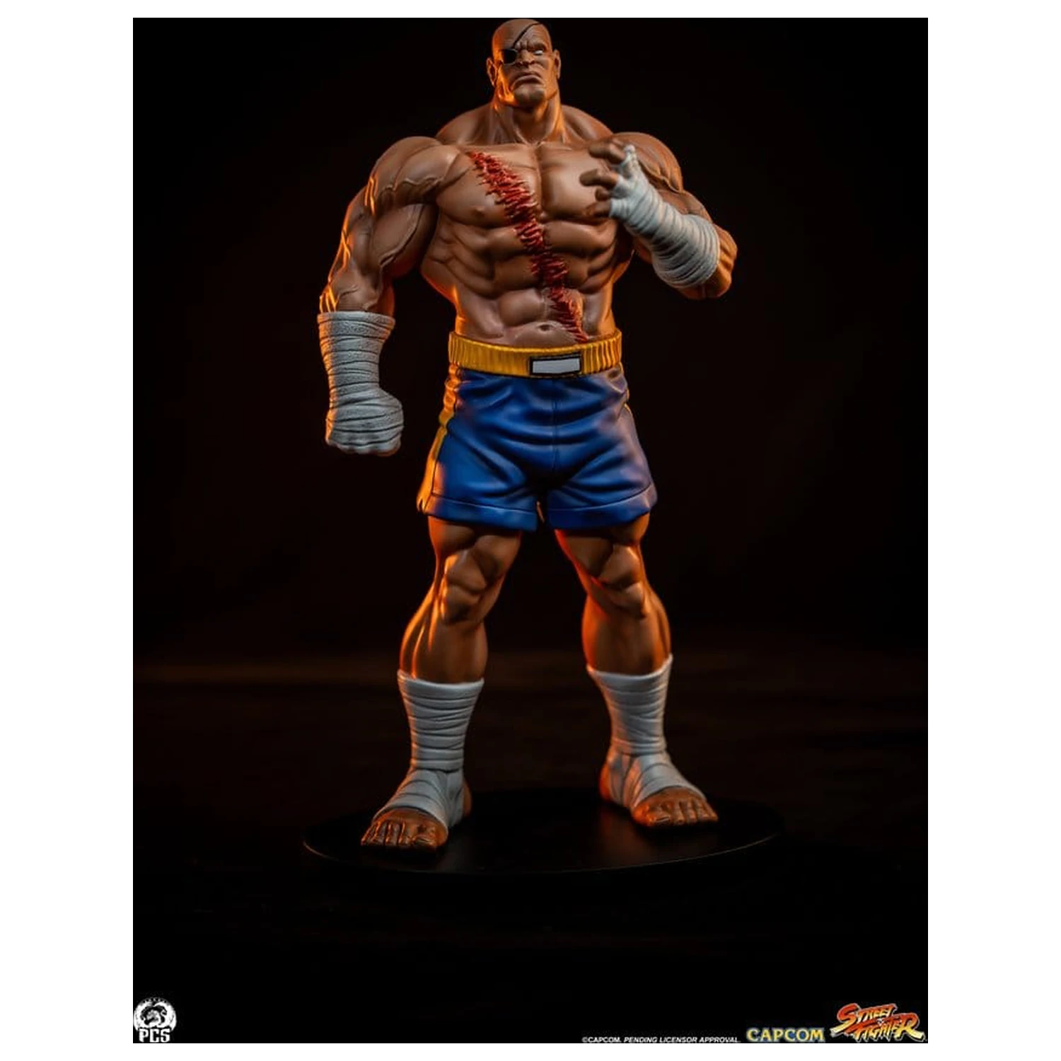 Street Fighter Street Jam Statui 1/10 Sagat & Juli 24 cm poza produsului