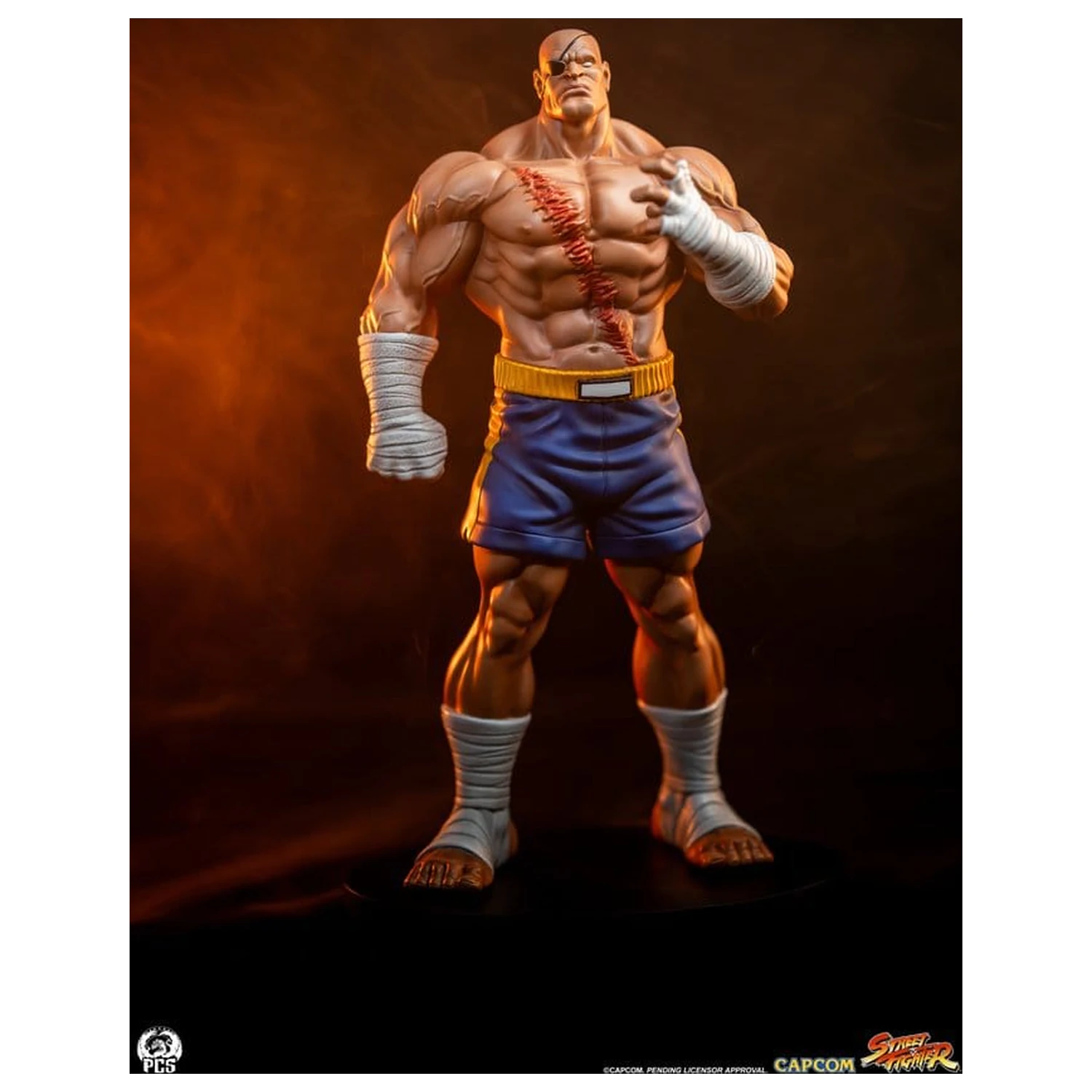 Street Fighter Street Jam Statui 1/10 Sagat & Juli 24 cm poza produsului