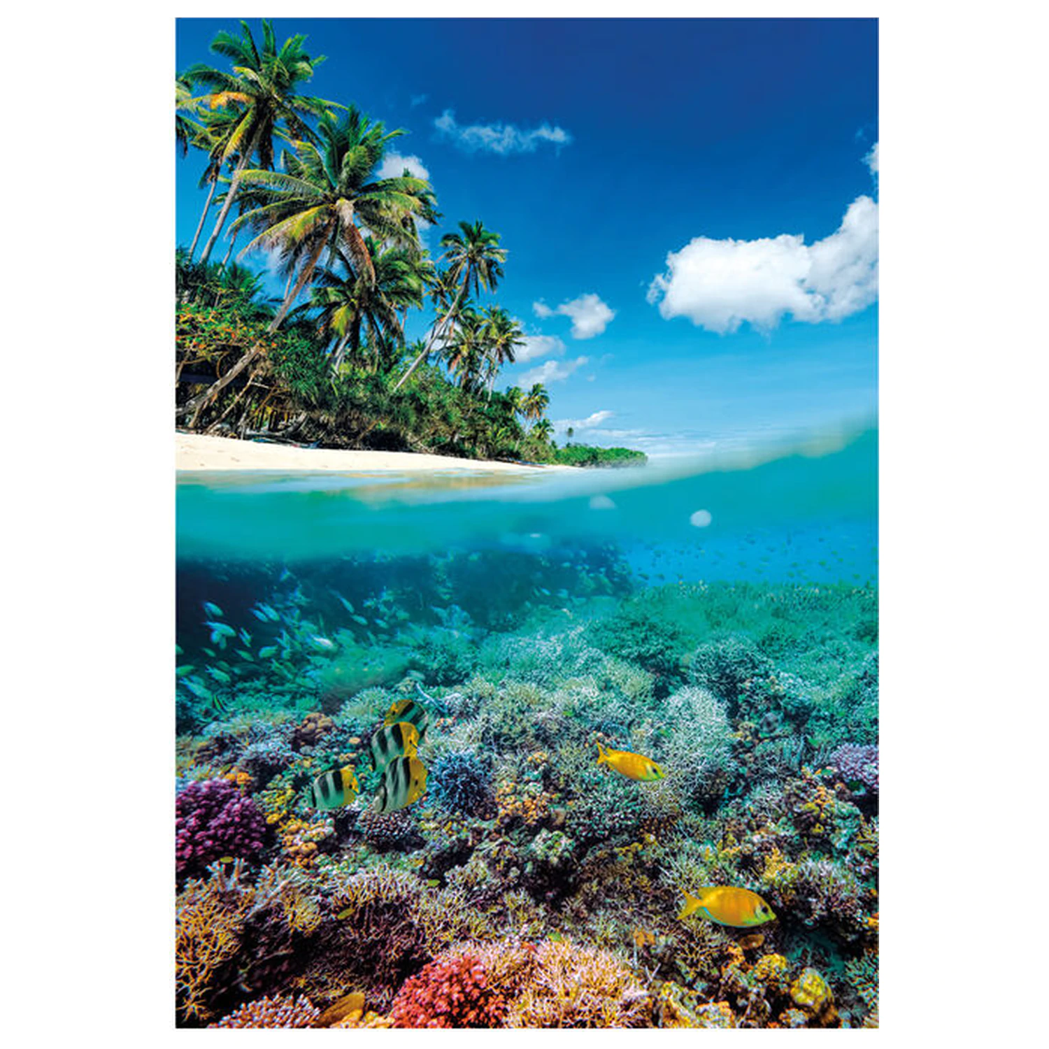 Summer Paradise puzzle 1000 piese poza produsului