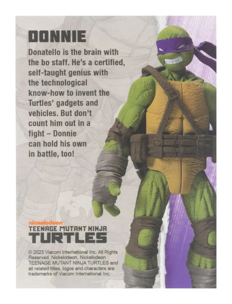 Teenage Mutant Ninja Turtles BST AXN Figurina de acțiune Donatello (IDW Comics) 13 cm poza produsului